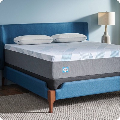 Sealy Dreamlife Standard White Memory Foam Pillow Set