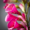 Sullivans 35" Artificial Foxglove Spray - 2 of 2
