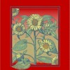 Sunflower Frame Crew Neck Short Sleeve Adult T-shirt - 2 of 2