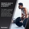 BioEmblem Creatine Monohydrate Powder 60 Servings - 3 of 4