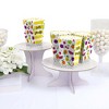 Big Dot of Happiness Tutti Fruity - Frutti Summer Baby Shower or Birthday Party Favor Popcorn Treat Boxes - Set of 12 - 3 of 4