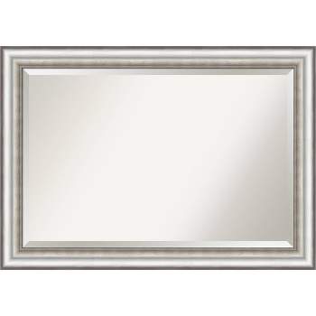 41" x 29" Salon Framed Wall Mirror Silver - Amanti Art