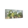 Trademark Fine Art -Danhui Nai 'White Geraniums V2' Canvas Art - 4 of 4