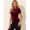 INSPIRE CHIC Women's Velvet Crew Neck Short Sleeve Casual Blouse - 4 of 4