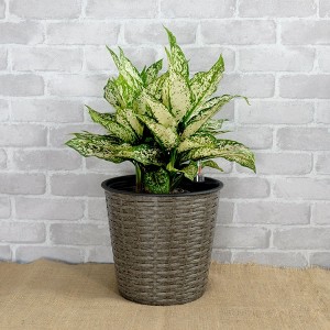 Okak 10.2 Inch Round Wicker Planter - Self-Watering Pot for Home and Garden Decor, Indoor Outdoor - 1 of 4