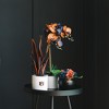 Forever Leaf Auburn Artificial Snake, Orchid and Hydrangea Plants 3-Pack Bundle, Indoor Artificial Plant for Home Decor - 3 of 4