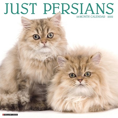 2022 Wall Calendar Just Persians - Willow Creek Press