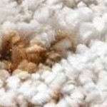 peach, ivory, black, dark red, tan