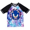 SEGA Sonic the Hedgehog Pullover Rash Guard and Swim Trunks Outfit Set Little Kid to Big Kid - 3 of 4