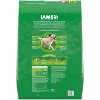 IAMS Proactive Health Chicken and Whole Grain Flavor Large Breed Adult Dry Dog Food - 2 of 4