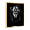Stupell Industries Lion In Shadows Photography Floating Frame Canvas Art, Gold, 17" x 21" - 2 of 4