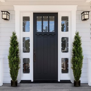 Forever Leaf 60" Cedar Boxwood in Black Pot (2 Pack), Indoor Artificial Plant for Home Decor - 1 of 4