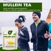 MM IMatchme Natural Organic Mullein Tea for Respiratory Health, 28 Tea Bags - 3 of 4