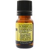 Plantlife Tagetes Aromatherapy Essential Oil – 100% Pure, Therapeutic Grade, No Additives or Fillers, 10 ml - 2 of 2