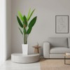 5.6FT Artificial Bird of Paradise Plant, Tall Faux Banana Leaf Tree for Indoor Home, Office & Entryway Decor - 4 of 4