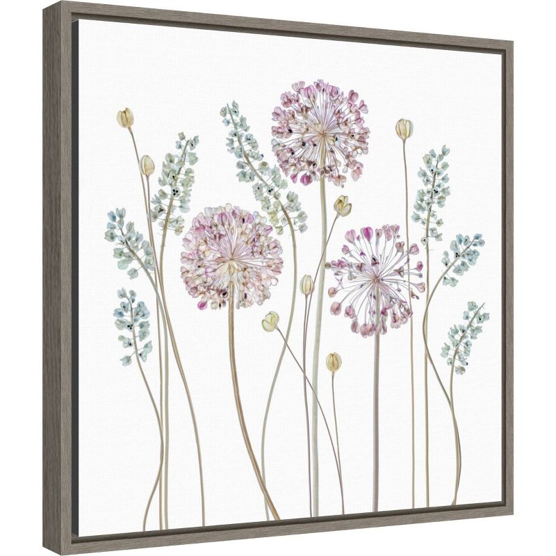 16&#34; x 16&#34; Allium Flower Silhouettes by Mandy Disher Framed Wall Canvas - Amanti Art, 3 of 10