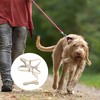Unique Bargains Durable Bunny Style Pet Leash Kit - 2 of 4