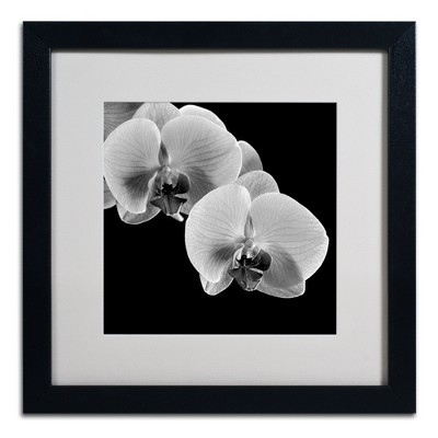 Michael Harrison Black Framed Orchid Botanical Print on Canvas