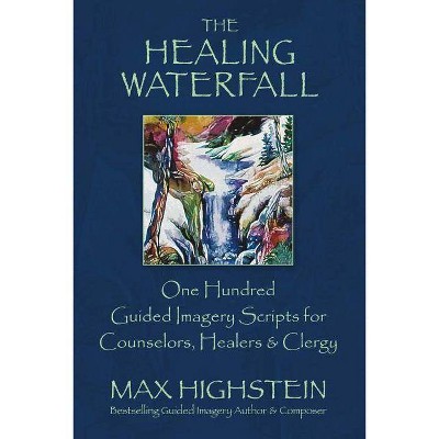 The Healing Waterfall, Volume 1 - by  Max Highstein (Paperback)