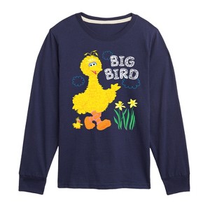 Boys' - Sesame Street - Big Bird Daffodils Long Sleeve Graphic T-Shirt - 1 of 3