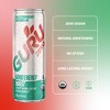 GURU ZERO WILD STRAWBERRY WATERMELON ORGANIC ENERGY DRINK, 12OZ, PACK OF 24 - 4 of 4