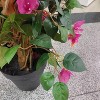 Bougainvillea Artificial Tree, Fake Bougainvillea Trees with Realistic Flowers and Leaves,Tall Fake Floor Plant in Pot for Indoor Outdoor Decor - 4 of 4