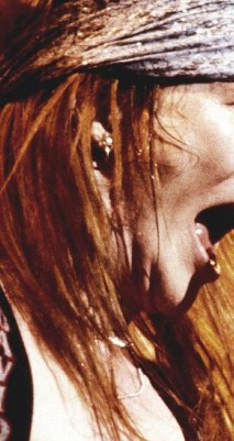 clear push pins bundle