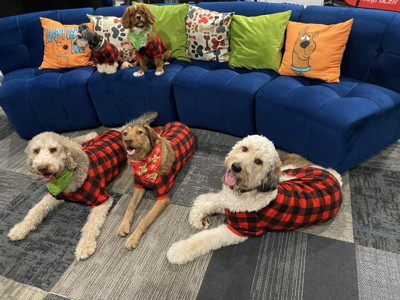 Buffalo Check Matching Family Dog Pajamas - Wondershop™ - Black/Red - S
