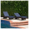 Salem Set of 2 Chaise Lounge Cushions - Christopher Knight Home - 2 of 4