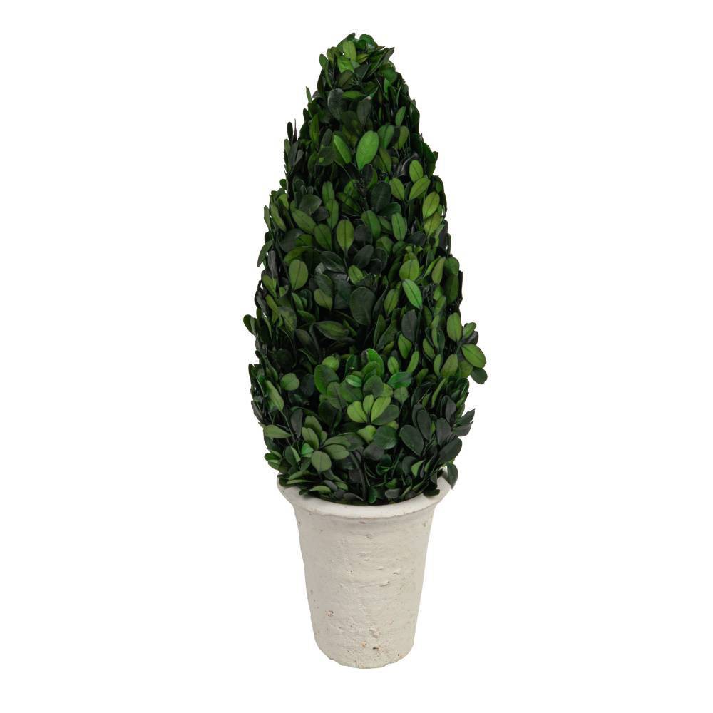 Photos - Other Decoration Storied Home Boxwood Cone Topiary: Indoor Faux Topiary, Cement Pot Base, Styrofoam Filler, 17.72" Height
