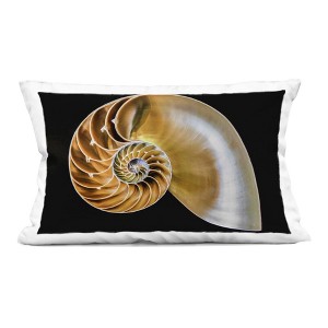 Stupell Industries Tan Nautilus Shell on Black Indoor Decorative Throw Pillow, 14 x 20 - 1 of 3