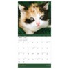 TF Publishing 2025 Wall Calendar 12"x12" Kittens - 2 of 4