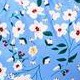 blue white