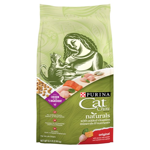 Purina kitten chow target best sale