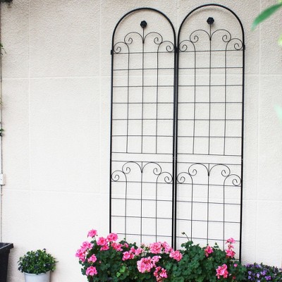 NicBex Metal Plant Stakes for Indoor Plants, Garden Bed with Trellis Rustproof Beans Trellis for Garden