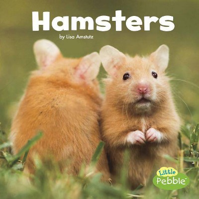 Hamsters - (Our Pets) by  Lisa J Amstutz (Paperback)