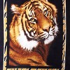 Shavel Hi Pile High Quality Luxurious And Incredibly Soft Warm Snuggly Throw Jumbo 60x80" - Tiger With Border - 3 of 3