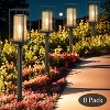 C Cattleya Black LED Outdoor Solar Path Lights,3000K Warm White/150 Lumen - 2 of 4