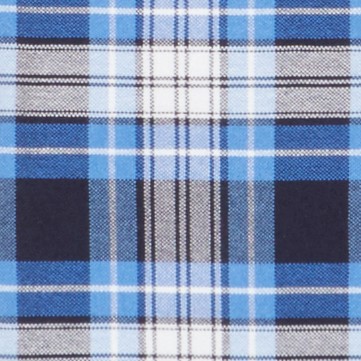 clear blue plaid