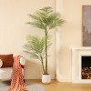 DR.Planzen Faux Palm Trees with Oval White Planter, Pre Potted Fake Greenry Palm Tree for Home Decor - 4 of 4
