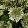 6' Unlit Hinged Arcadia Cashmere Pine Artificial Christmas Tree - National Tree Company - 3 of 4