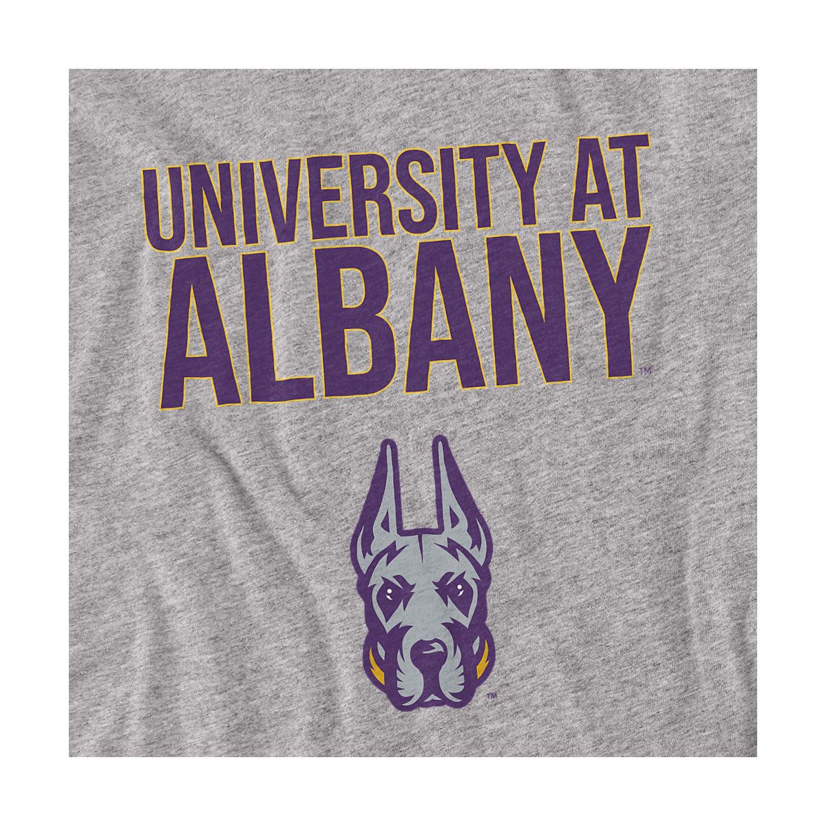 Men's University at Albany Official T-Shirt - thumbnail 2