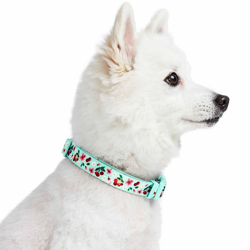 Blueberry Pet Cherry Garden Dog Collar with Dainty Flowers, 4 of 5