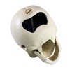 Pop Your Top Skeleton Skull Cast Iron Bottle Opener: Set of Two - 2 of 2