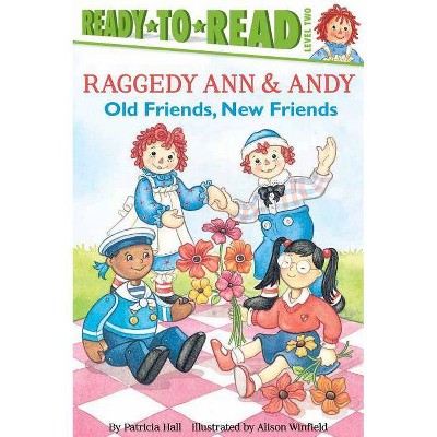 Old Friends, New Friends - (Raggedy Ann) by  Patricia Hall (Paperback)