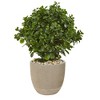 Nearly Natural 30-in Peperomia Artificial Plant in Sand Stone Planter UV Resistant (Indoor/Outdoor) - image 2 of 2