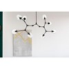 Elegant Lighting Cavoli 8 - Light Chandelier in  Black - 2 of 4