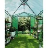 Pop Up Greenhouse,Portable Walk-in Indoor Outdoor Greenhouse for Garden Patio Backyard,Zippered Doors and Window,PE Cover - 3 of 4