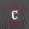 College of Charleston Official Cougars Logo Adult Pull-Over Hoodie - 2 of 4