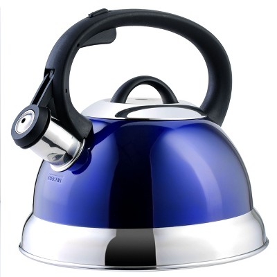 Mr. Coffee Flintshire 1.75 Quart Whistling Stovetop Tea Kettle In Blue ...